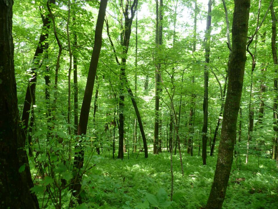 Caesars Head State Park